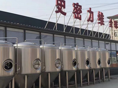 兴安精酿啤酒设备厂—如何判断精酿啤酒设备的密封件需要更换？